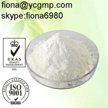 Building Muscle Raw Steroids Powder Dehydroisoandrosterone (Dhea) Cas 53-43-0